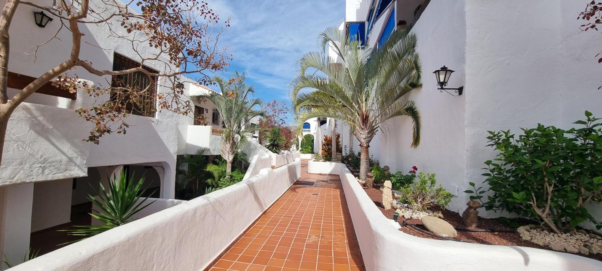 Wonderful Seaview Apartment - Los Cristianos Arona  Zewnętrze zdjęcie
